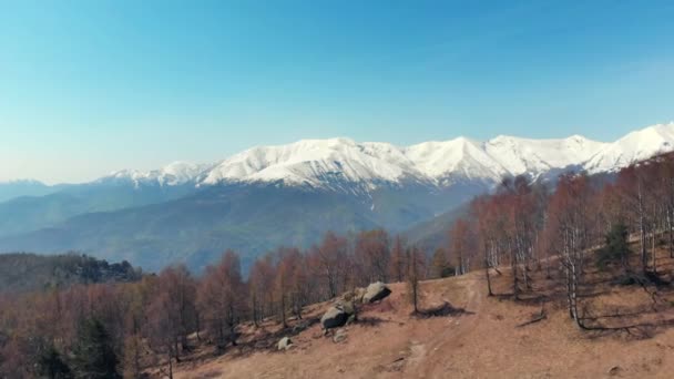 Aerial Drone Flying Forest Springtime Aerial View Snow Capped Mountain — Stock Video