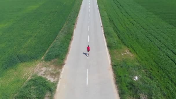 空中スローモーション ドローン追跡男の田舎道を渡るだけで実行している栽培フィールド アウトドア フィットネス幸福の概念 — ストック動画