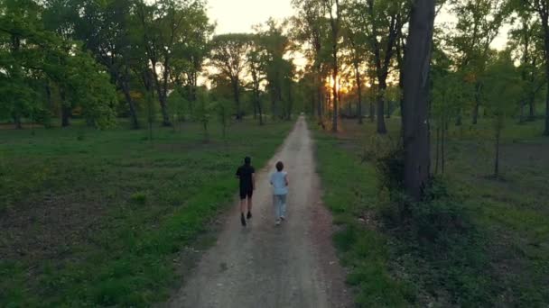 Aerial Slowmotion Drone Spårning Par Körs Landsbygden Vägen Passerar Skogspark — Stockvideo