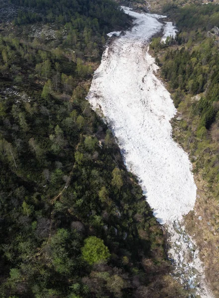 Aerial: huge snow avalanche fallen in springtime in alpine valley covedered by forest woodland, view from above.