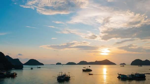 Time Lapse Vietnam Cat Bay Sunset Night Floating Fishing Boats — Stock Video