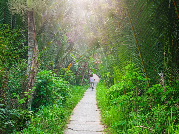 One person riding bicycle in the Mekong Delta region, South Vietnam. Woman cycling on small trail among lush green coconut palm tree woodland and tropical fruit orchards. Rear view. — Stock Photo, Image