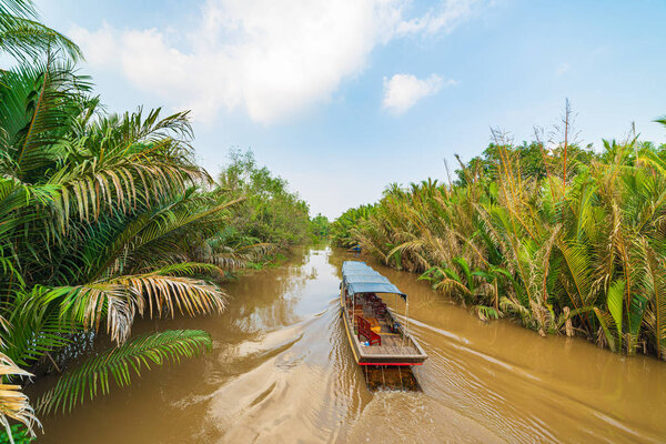 Boat tour in the Mekong River Delta region, Ben Tre, South Vietnam. Wooden boat on cruise in the water channel through coconut palm trees plantation.