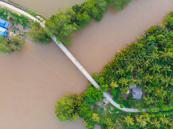 Aerial top down view bridge over muddy water canal in the Mekong River Delta region, Ben Tre, South Vietnam. Tropical islands lush green coconut tree plantantion. — Stock Photo, Image