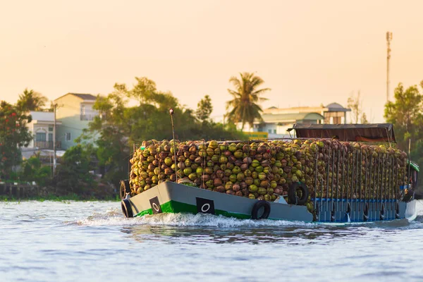 Enorme quantidade de cocos em navio de carga no mercado flutuante Cai Rang, fruta por atacado da manhã e bom mercado em Can Tho River, região do delta do Mekong, Vietnã do Sul, destino turístico. Fechar . — Fotografia de Stock