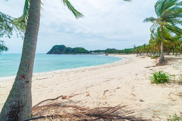 Avskild tropisk strand turkos transparent vatten palmer, Bai Om outvecklad vik Quy Nhon Vietnam central kust resmål, öken vit sand strand inga människor klar blå himmel, expansiv vi — Stockfoto