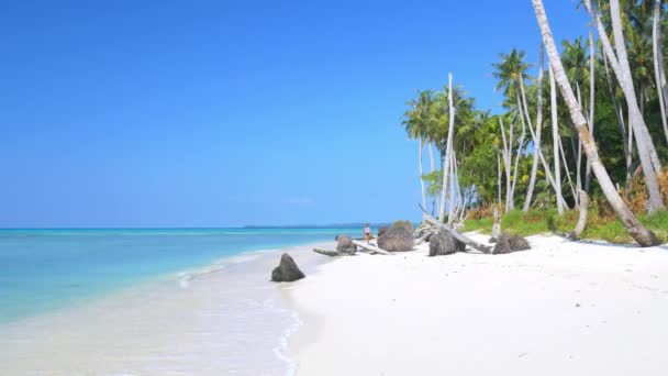 Volwassen Volwassen Vrouw Wandelen Tropisch Strand Turquoise Water Kariboon Zee — Stockvideo