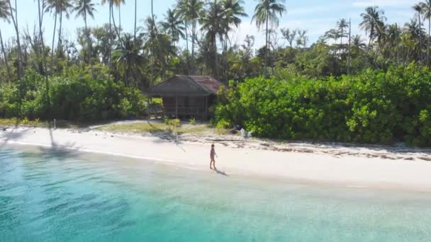 Flyg slow motion: dam promenader på tropisk strand vid solnedgången, bort från allt, karibiska havet vit sand strand palmer skog. Kvinna avkopplande på perfekt avskild ö. — Stockvideo