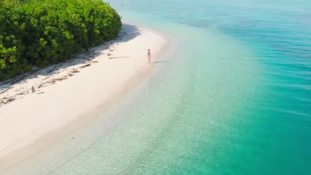 Hava ağır çekim: günbatımında tropikal plajda yürüyen kadın, hepsinden uzakta, Karayipler 'deki beyaz kumsal palmiyeleri ormanı. Mükemmel ıssız adada dinlenen bir kadın.. — Stok video