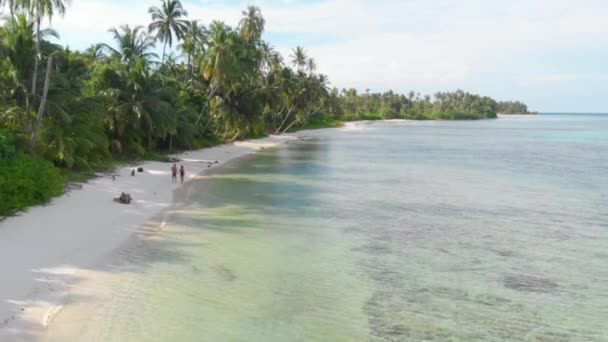 空中スローモーション:カップルの熱帯ビーチで日没で、離れて、すべてから歩いて、カリブ海の海の白い砂浜のヤシの木の森。男と女は完璧な人里離れた島でリラックス. — ストック動画