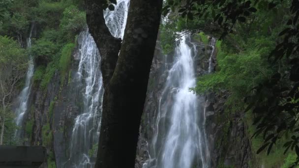 Cámara Lenta Cascada Efrata Las Tierras Altas Selva Tropical Cerca — Vídeos de Stock