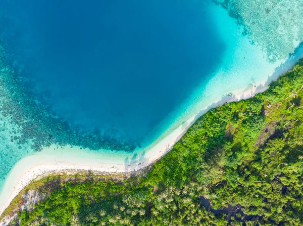 Aerial Top View Tropical Paradise Pristine Beach Rainforest Blue Lagoon — Stock Photo, Image