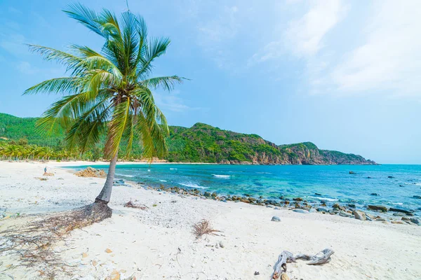 Avskild Tropisk Strand Turkos Transparent Vatten Palmer Bai Outvecklad Vik — Stockfoto