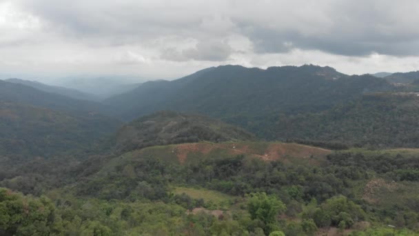 Pemandangan Udara Yang Unik Dari Perkebunan Teh Bukit Dan Desa — Stok Video