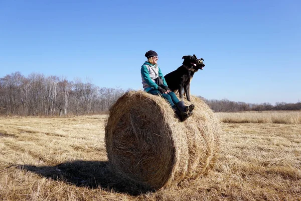 İki köpek samanlıkta bir kızla oturuyor.