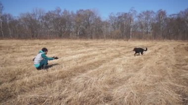 Büyük siyah bir köpek kıza doğru koşar ve kız onu öper. Kız tarlada oturur ve büyük siyah köpeğini çağırır, adam ona koşar ve kız onu öper. Rusya, Vladivostok