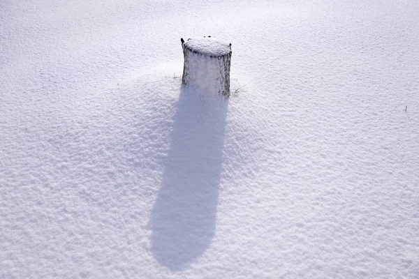 Зимний минимализм — стоковое фото