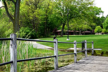 Karatavuk ahşap bir direğe oturur. Usa, Grand Haven Şehri