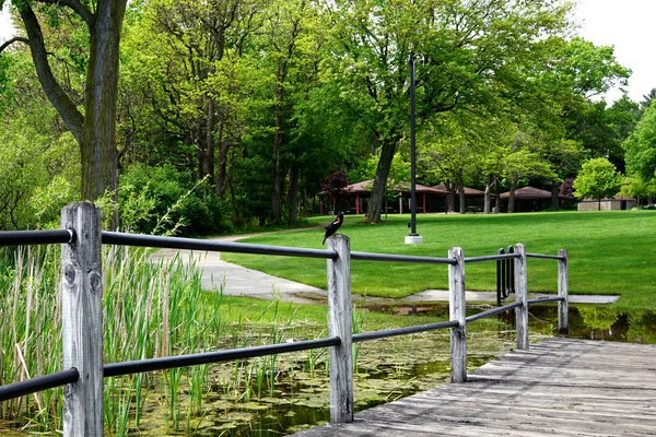 Karatavuk ahşap bir direğe oturur. Usa, Grand Haven Şehri
