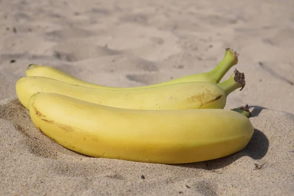 Sekelompok tiga pisang di atas pasir — Stok Foto