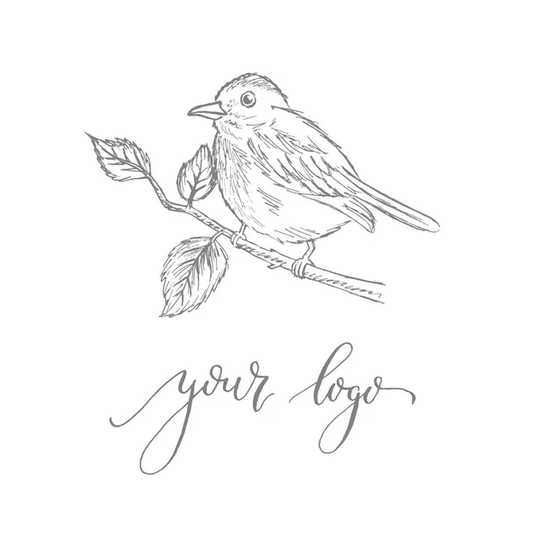 Modèle de logotype avec un oiseau sur une branche. Logo parfait pour votre — Image vectorielle