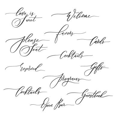 Wedding calligraphic inscriptions -  welcome,open bar, please seat, reserved, gifts, cards, programs. clipart
