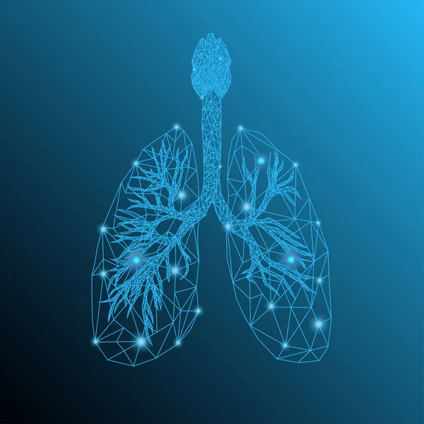 Mavi arka planda saydam insan akciğerleri ve hafif düşük polimeraz etkileri.