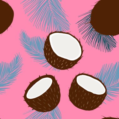 Yaz hindistan cevizi arkaplansız.