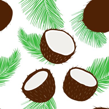 Yaz hindistan cevizi arkaplansız.