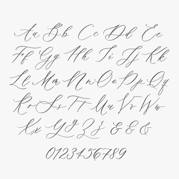 Alfabeto Moderno Caligrafía Monograma Boda Logotipo Invitación — Archivo Imágenes Vectoriales