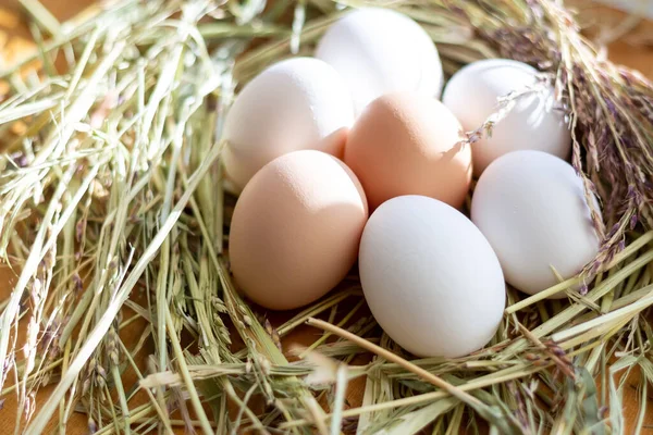 Os ovos de galinha crus brancos e marrons estão em um ninho de palha Imagem De Stock