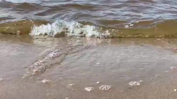 Κύματα που πέφτουν στην αμμώδη όχθη του ποταμού — Αρχείο Βίντεο