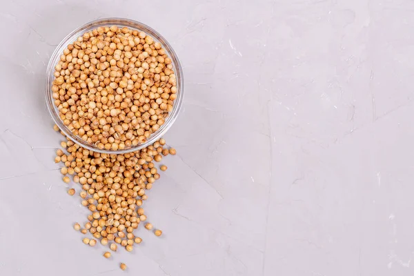 Cam bir tabakta kişniş ve gri arka planda serpiştirilmiş. Baharatlar sağlığa iyi gelir..