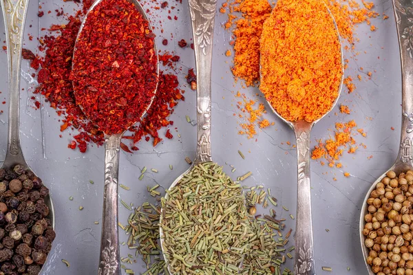 Turmeric powder, paprika, coriander and black peppercorns in metal teaspoons on a gray background