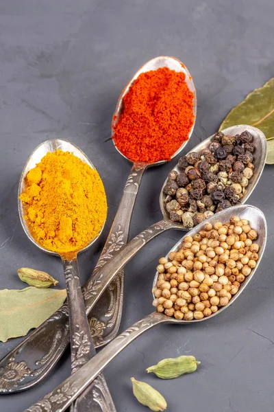 Turmeric powder, paprika, coriander and black peppercorns in metal teaspoons on a gray background