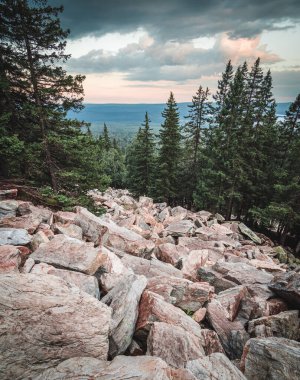Vadideki Zyuratkul Ulusal Parkı 'ndan kozalaklı orman ve göl manzarası 