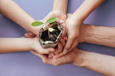 Gazete çanağında fideleri tutan eller, montessori educa