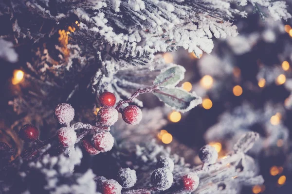 Sneeuw bevroren kerstboom en rode hulst bessen met feestelijke d — Stockfoto
