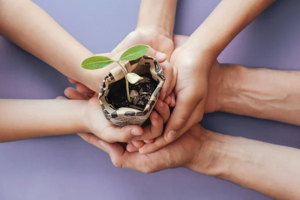 Hands holding seedling plants in newspaper pot, montessori educa — Stock Photo, Image