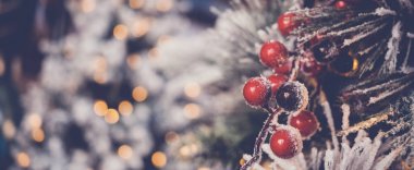 Kırmızı çobanpüskülü böğürtlen ve noel ağacı.