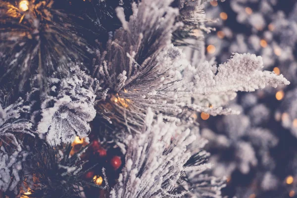 Sneeuw bevroren kerstboom met feestelijke ongerichte bokeh, holida — Stockfoto