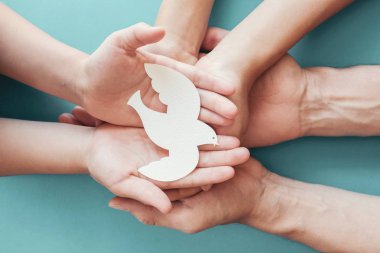 Adult and child hands holding white dove bird on blue background clipart