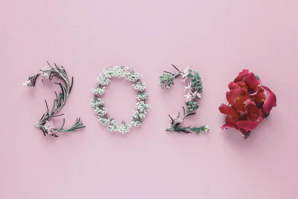 2020 зроблений з натурального листя і квітів на рожевому фоні, Га — стокове фото