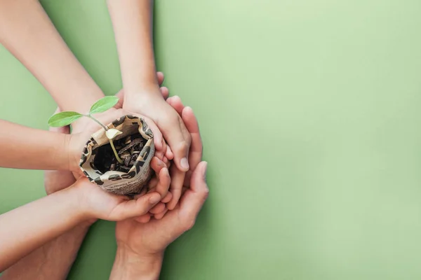 Manos sosteniendo plantas de semillero en la olla de periódico, montessori educa —  Fotos de Stock