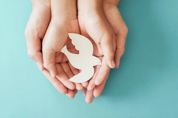 Ręce dorosłego i dziecka trzymające białego gołębia na niebieskim tle — Zdjęcie stockowe