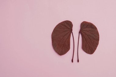 Pembe arka planda böbrek şekilli yapraklar, ulusal organ bağışçısı da...