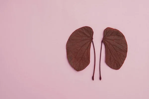 Kidney shaped leaves on pink background, national organ donor da — Stock Photo, Image