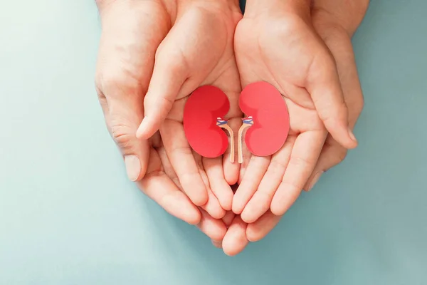 Erwachsene Und Kinder Mit Nierenförmigem Papier Weltnierentag Nationaler Tag Der — Stockfoto