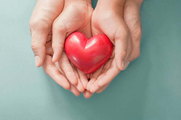 Взрослые и детские руки, держащие Красное сердце, здоровье сердца, пожертвование, счастливая благотворительность добровольцев, социальная ответственность КСО, Всемирный день сердца, Всемирный день здоровья, Всемирный день психического здоровья, День семьи, приёмная семья, День донора органов