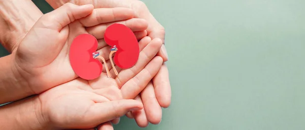 テクスチャブルーの背景に腎臓形の紙を保持大人と子供 世界腎臓の日 国立臓器提供者の日 慈善寄付の概念 — ストック写真